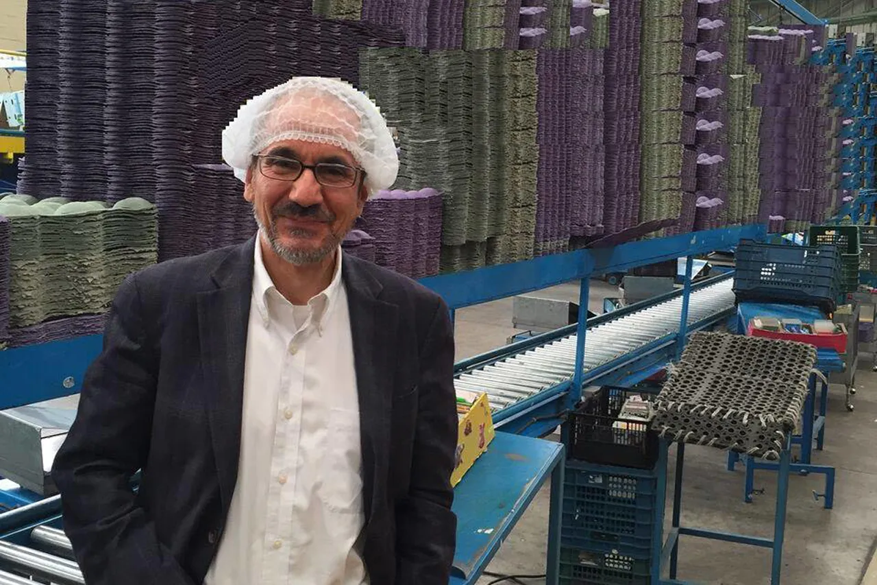 Man standing in avocado packing house